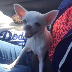 Meet your Posher, Lam